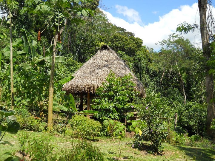 Slide Image